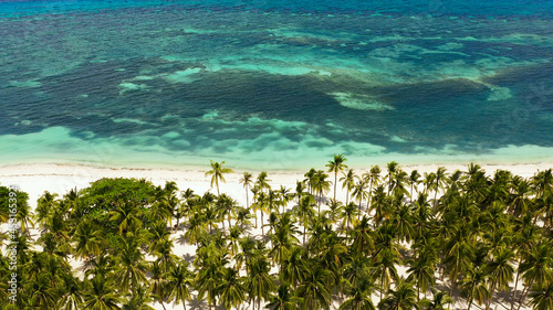 Tropical beach with sea and palm. Beautiful beach and tropical sea. Panglao island, Bohol, Philippines. Summer and travel vacation concept. photo