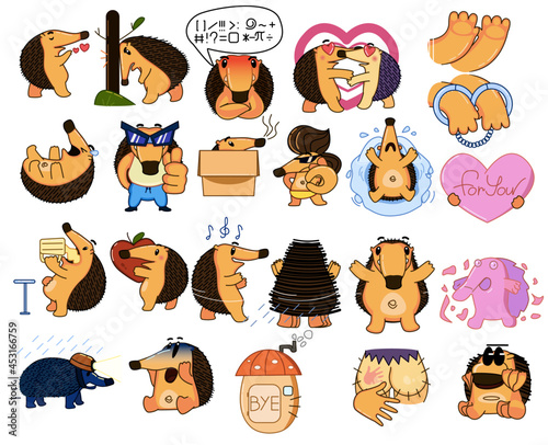 Big vector set with orange hedgehog. Cheerful business character for printing stickers, illustrations of books, comics, children's exponentials, covers. Stylish hedgehog in all emotions.