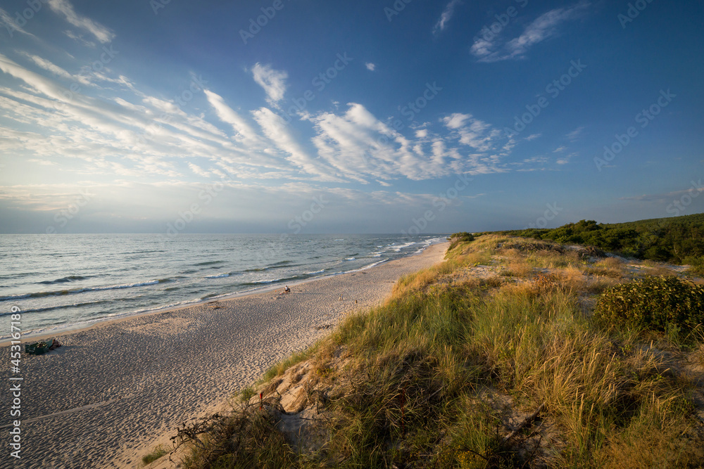 Beach near dune Efa, Curonian spit, Russia