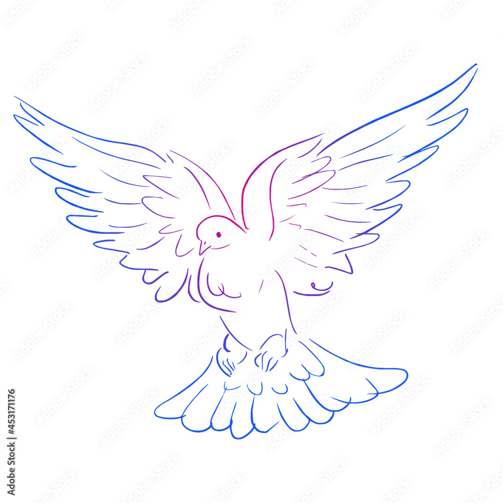 Obraz premium paloma volando