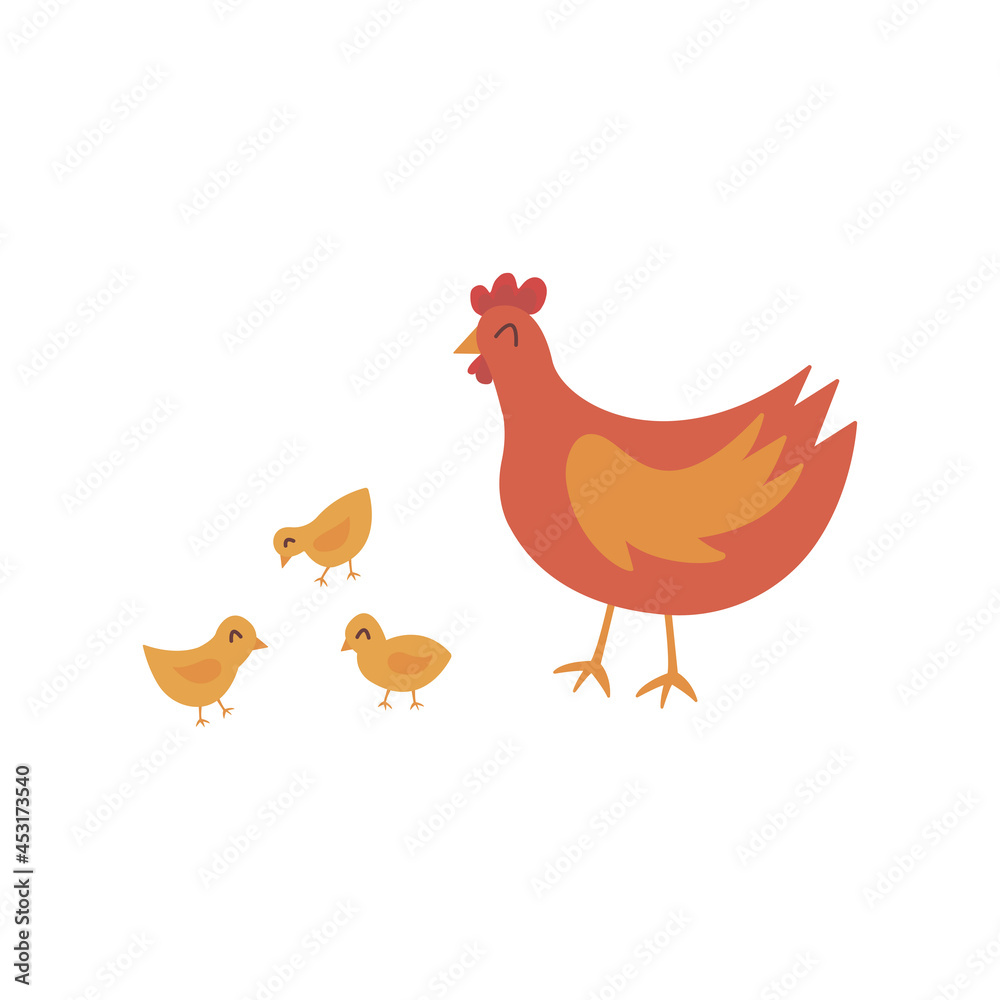 Chicken walks with chickens. Little chicks. Colorful vector isolated hand drawn illustration. Domestic bird. Poultry breeding concept, rural life, farming