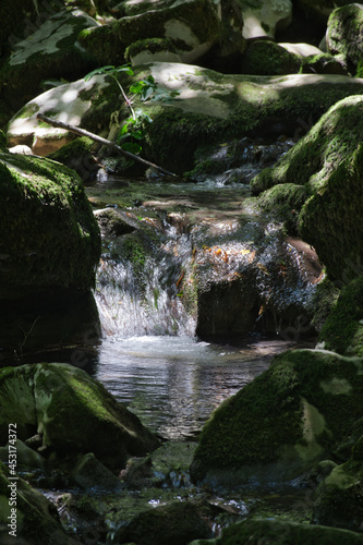 waterfall in the forest