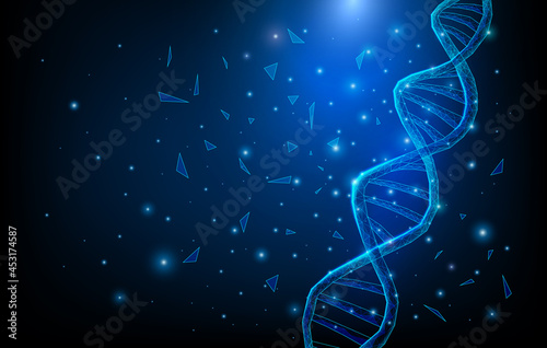 Wireframe DNA molecules structure mesh low poly consisting of points, lines, and shapes on dark blue background. Science and Technology concept