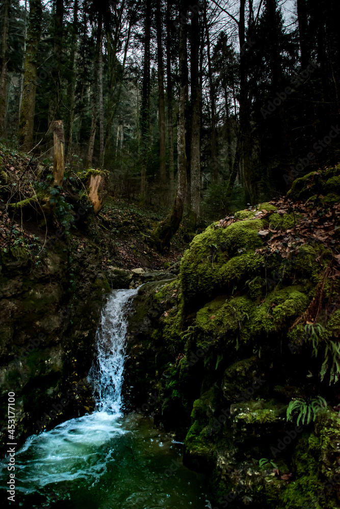 waterfall in the forest