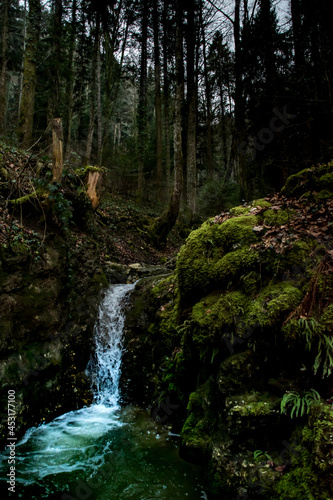 Fototapeta Naklejka Na Ścianę i Meble -  waterfall in the forest