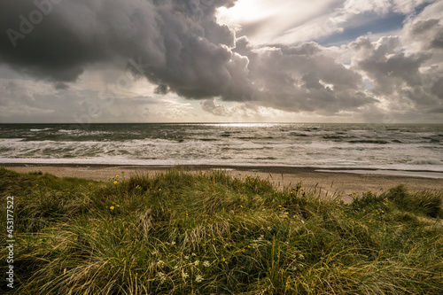 Hvide Sande Dänemark Nordsee photo