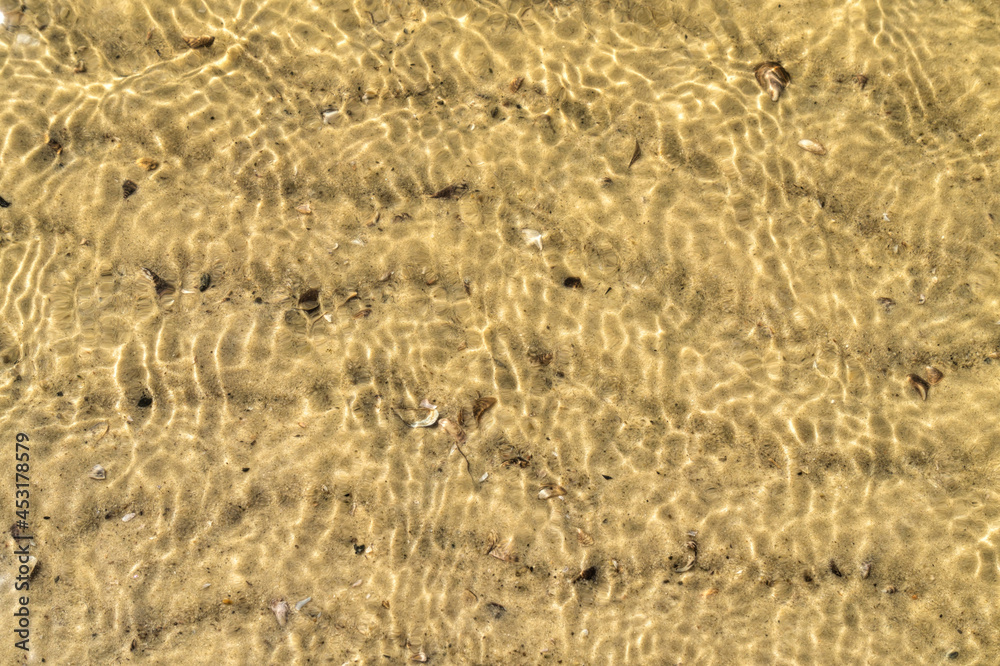 Fototapeta premium Sandy river bed and freshwater shells