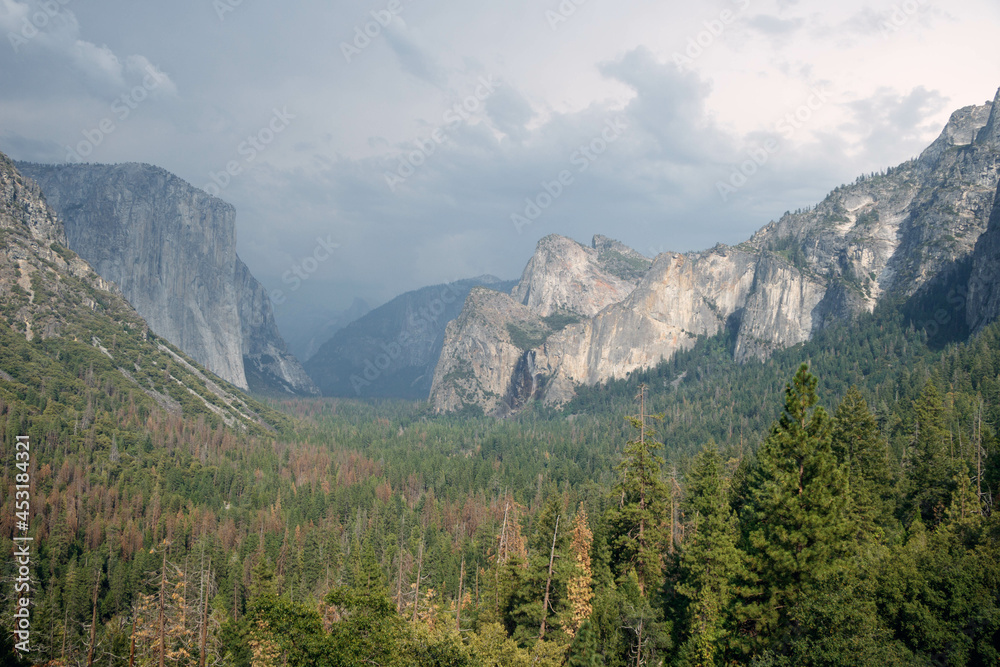 Fototapeta premium landscape with clouds