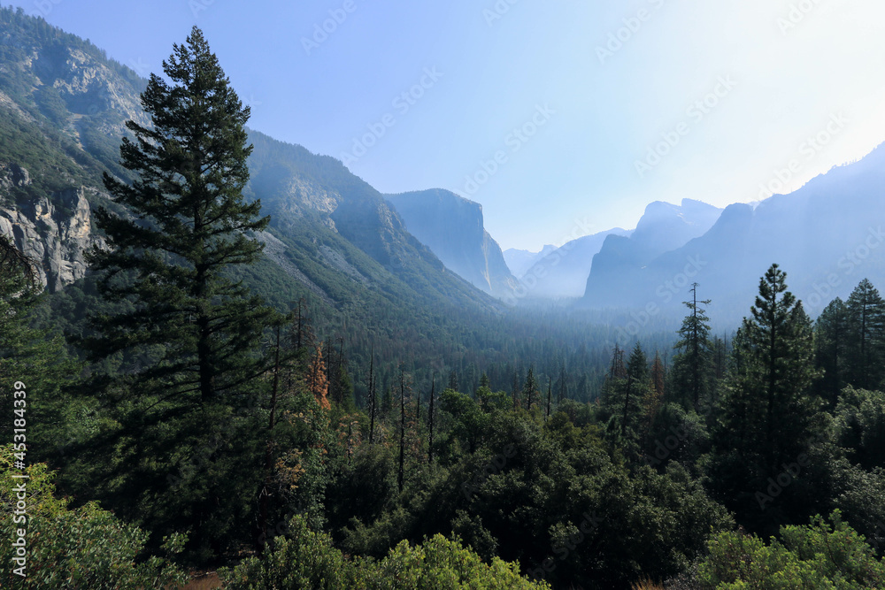 A panorama in Yosemite National Park