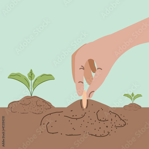 hand planting seed