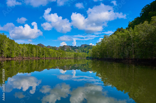 Pure nature landscape river among mangrove forests