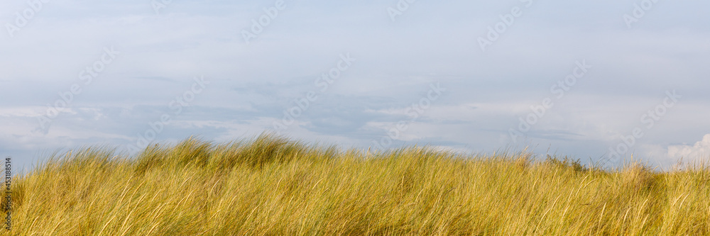 Obraz premium Blue sky over the sand dune
