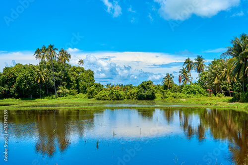 Tropical landscape. Mountains  palms and blue sky. Pure nature. Lake with mirror reflections