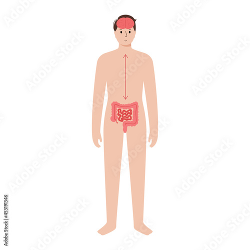 Gut brain connection
