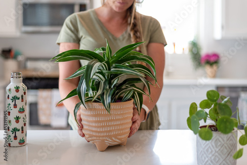 Young woman with tropical houseplant in a terracotta pot