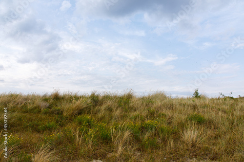 Sea sky and sand dune landscape