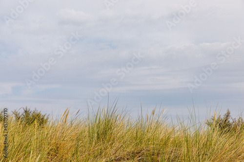 Sea sky and sand dune landscape