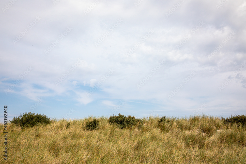 Sea sky and sand dune landscape
