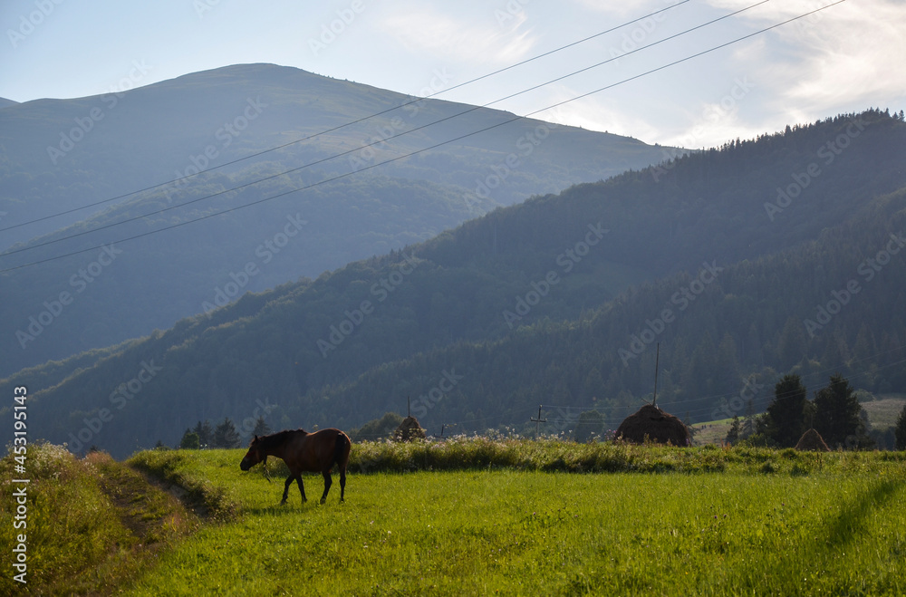 Scenic landscape view with Carpathian mountains range with horse grazing the mountain pastures.