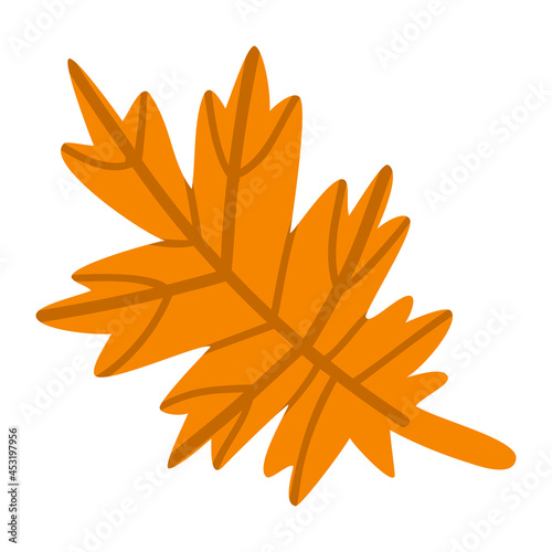 Isolated vector element. Autumn leaf. The print is used for packaging design  fabric. Autumn. Fall