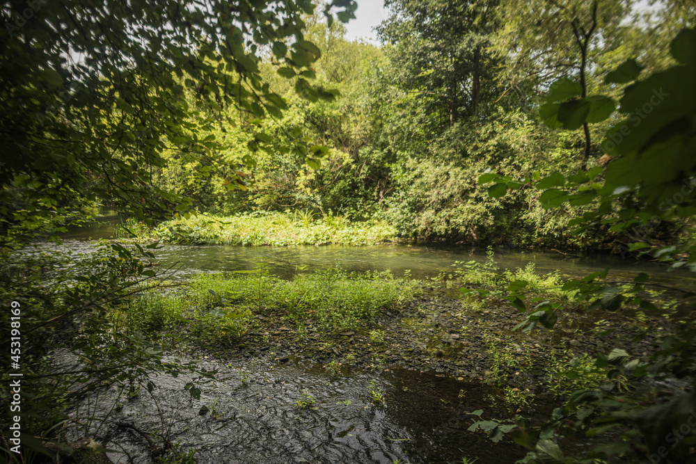 Bolshoy Chembar River in summer Bolshoy Chembar River in summer