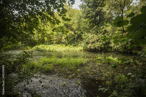 Bolshoy Chembar River in summer