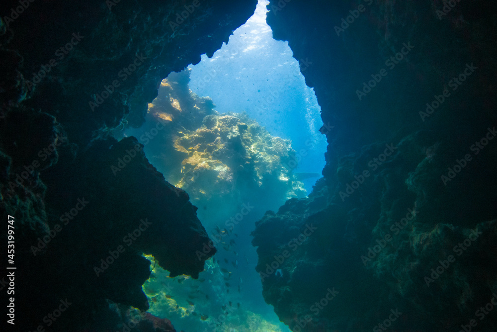 フィリピン、セブ島の南西部にあるモアルボアルでダイビングする風景 Scenery of diving in Moalboal, southwest of Cebu Island, Philippines.