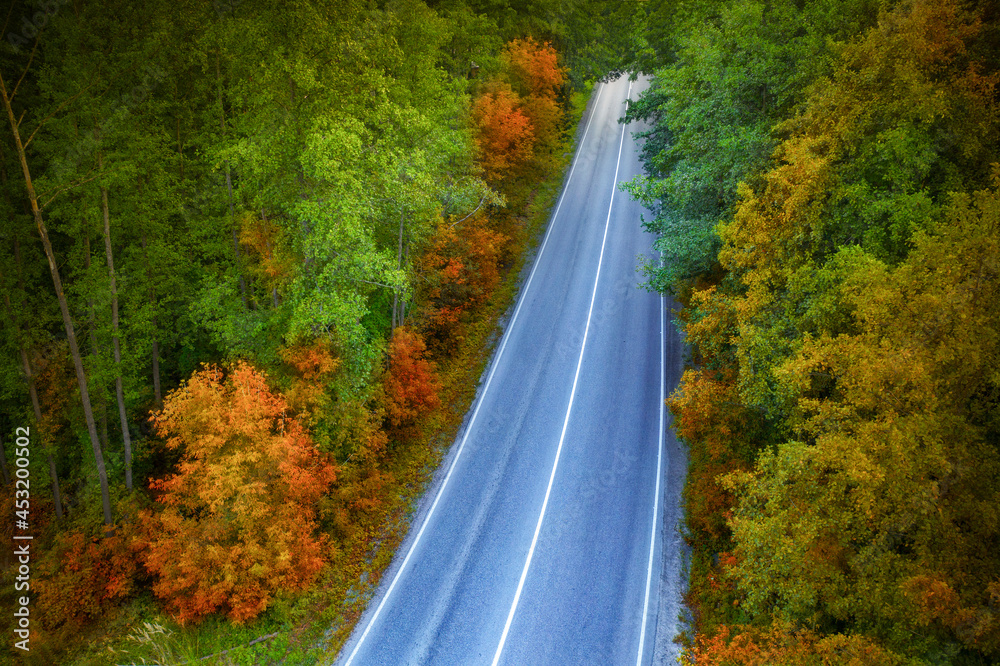 Road through the autumn forest at sunset. Drone type.