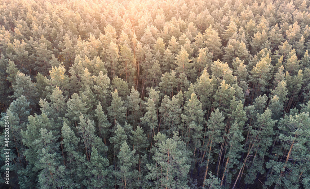 Deciduous autumn forest, aerial view, pattern or texture. Deciduous autumn forest, aerial view, pattern or texture.