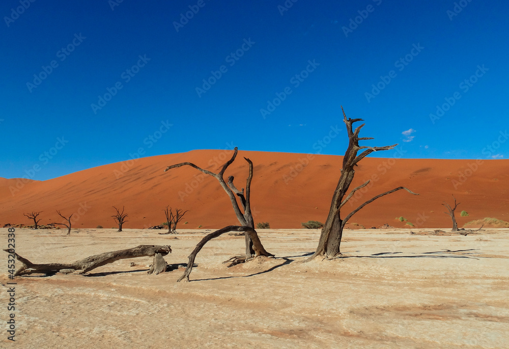 Devil Desert Namibie