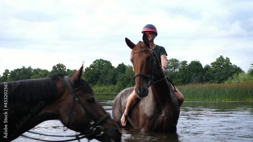 horse with female rider standing in lake water horse with female rider standing in lake water