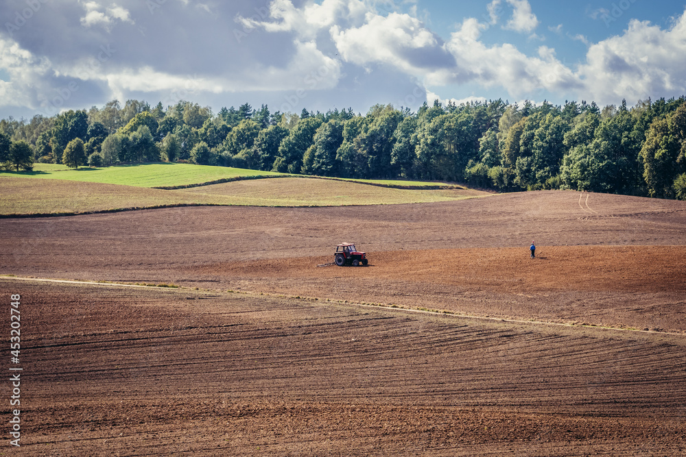 Obraz premium Summer view of plowed field in Warmia and Mazury region of Poland