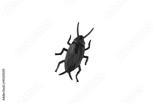 Toy plastic black cockroach, isolated on white background