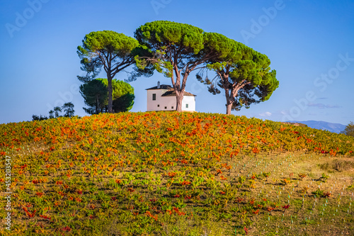 Picturesque idyllic villa house set on Bierzo hilltop vineyard landscape Spanish countryside on the Way of St James Pilgrimage Trail Camino de Santiago photo
