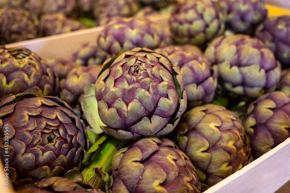 New harvest of French violet globe artichokes on weekly market in Provence, France