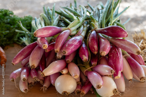Bunches of young violet simiane organic onions on market in Provence, France photo