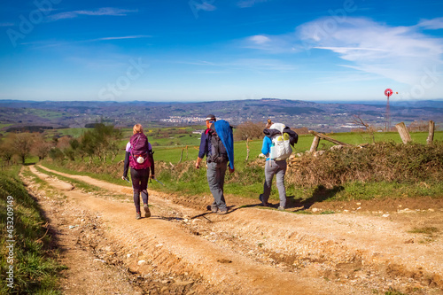 Pilgrims Hiking in Galicia Spain Countryside Road on the Way of St James Pilgrimage Trail Camino de Santiago