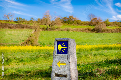 Way Marking Stone Post with Scallop Shell Symbol and Yellow Arrow Sign in the Spring Field outside Sarria, Galicia on the Trail of the Way of St James Pilgrimage Trail Camino de Santiago photo