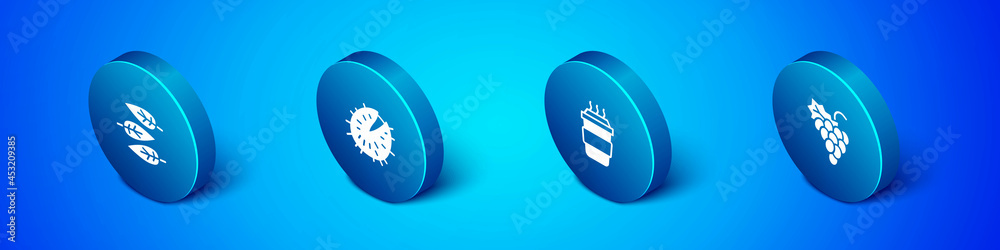 Set Isometric Leaf or leaves, Coffee cup to go, Grape fruit and Chestnut icon. Vector