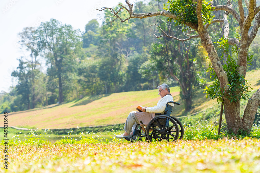Obraz premium activity, adult, alone, asian, book, care, casual, chair, drawing, elder, elderly, enjoyment, garden, glasses, grandfather, gray hair, happiness, happy, health, health care, healthy, hobbies, japanese