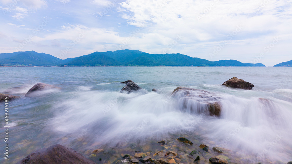 Obraz premium 맥문동