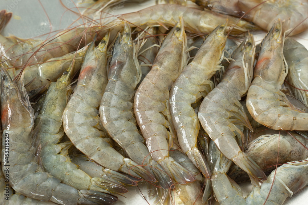 Fresh pacific white shrimp on aluminum tray,fresh food concept. Fresh pacific white shrimp on aluminum tray,fresh food concept.