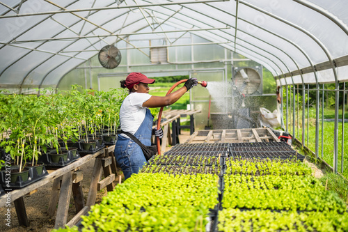 Female farmer watering plants in greenhouse