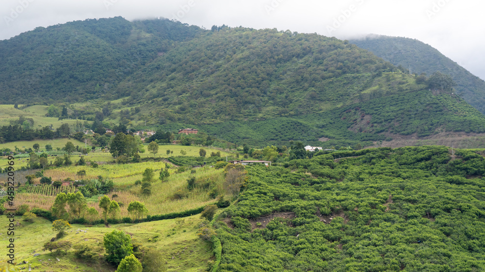 Colombian landscape of growing crops between the mountains.