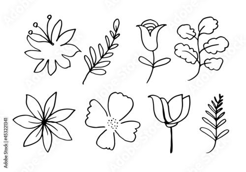 a collection of hand-drawn flower images such as bellflower, chrysanthemums, sunflowers, cotton flowers, and tropical leaves