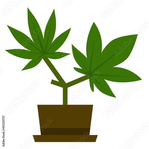 marijuana flat icon