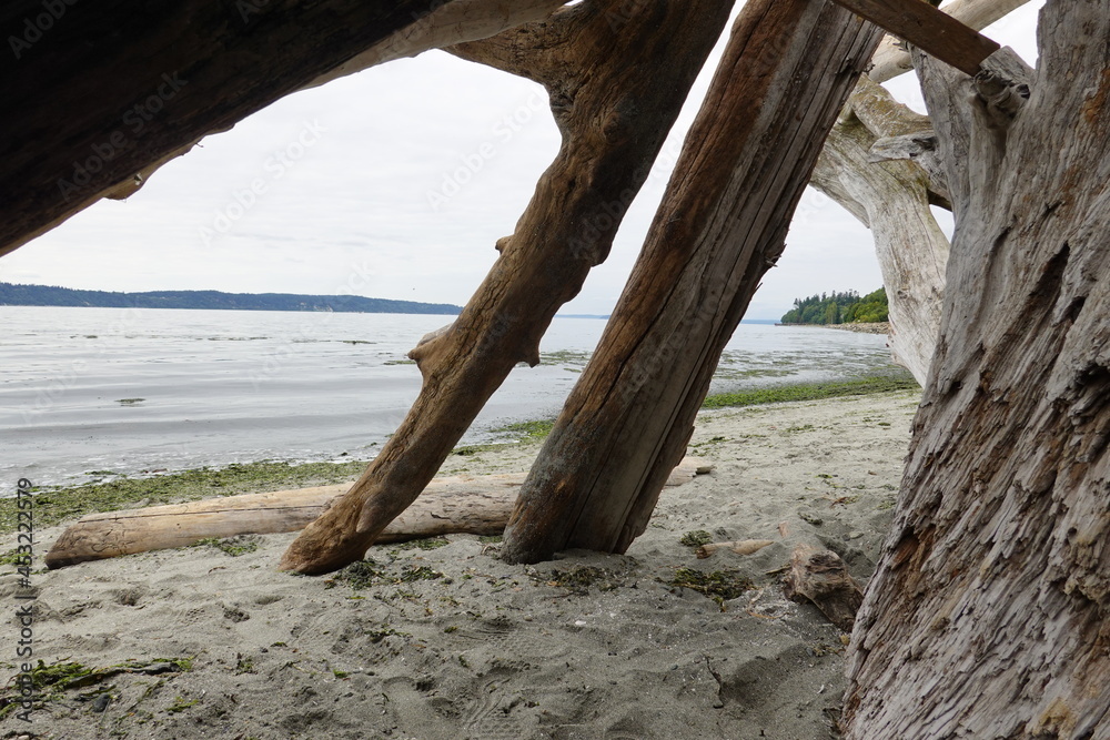 A view of the beach from a driftwood house.
