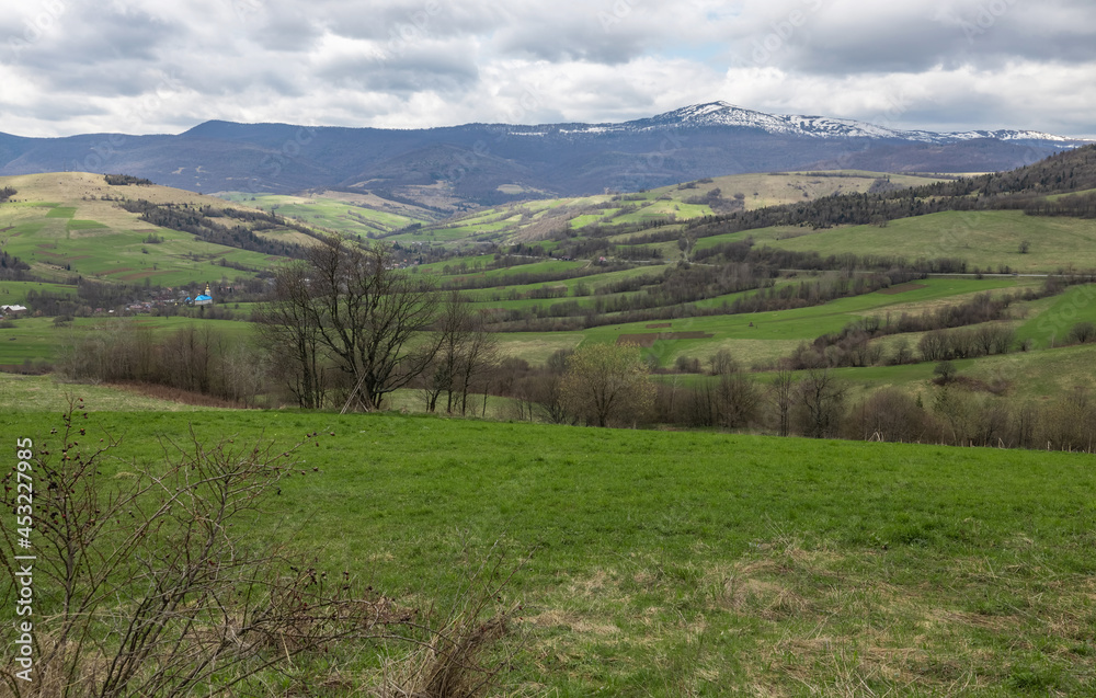 Fototapeta premium Carpathians, Ukraine. Journey in the mountains. Hiking Travel Lifestyle concept beautiful mountains landscape on background Summer vacations activity outdoor. Flock of sheep in the carpathians.