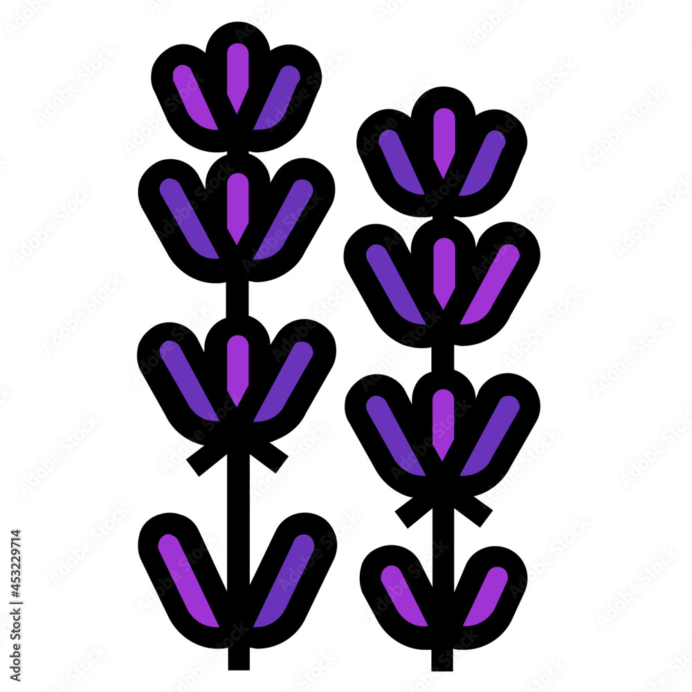 Fototapeta premium lavender line icon
