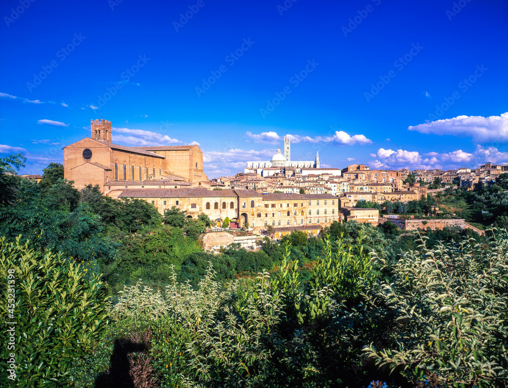 Fototapeta premium ドゥオモと町並